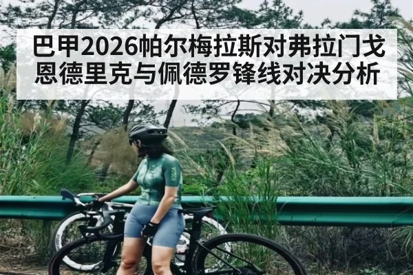 巴甲2026帕尔梅拉斯对弗拉门戈恩德里克与佩德罗锋线对决分析
