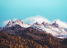 北京pk10计划-碳酸锂期货价格大跌 业内人士：主要受1月新能源汽车销售数据下滑影响